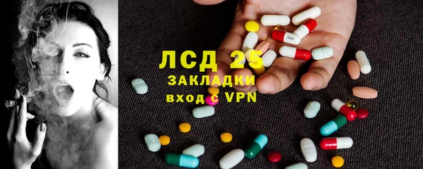 твердый Аркадак