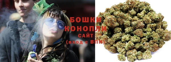 твердый Аркадак