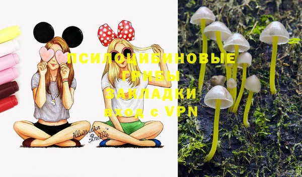 синтетический гашиш Арсеньев